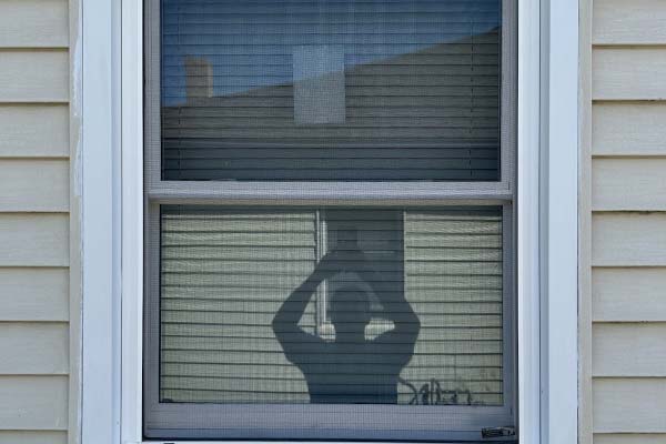 Vinyl Window Replacement Services